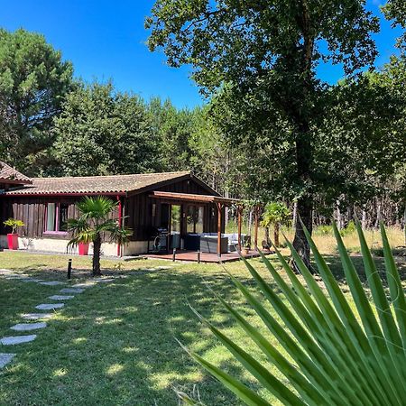 House De La Canopee, Swimming Pool, Lake, Forest, Large Garden And Wifi Hourtin Kültér fotó