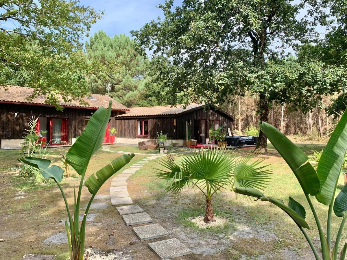 House De La Canopee, Swimming Pool, Lake, Forest, Large Garden And Wifi Hourtin Kültér fotó