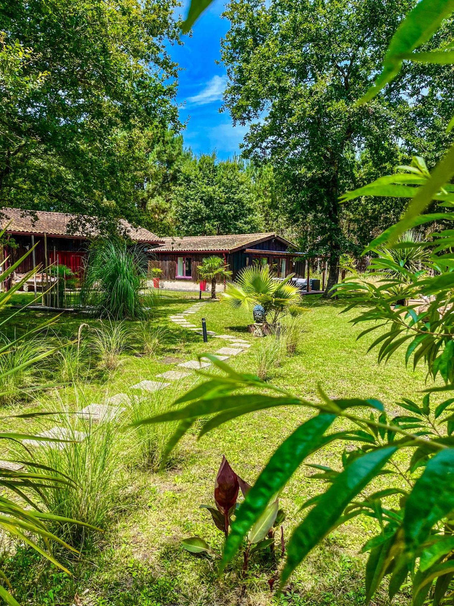 House De La Canopee, Swimming Pool, Lake, Forest, Large Garden And Wifi Hourtin Kültér fotó