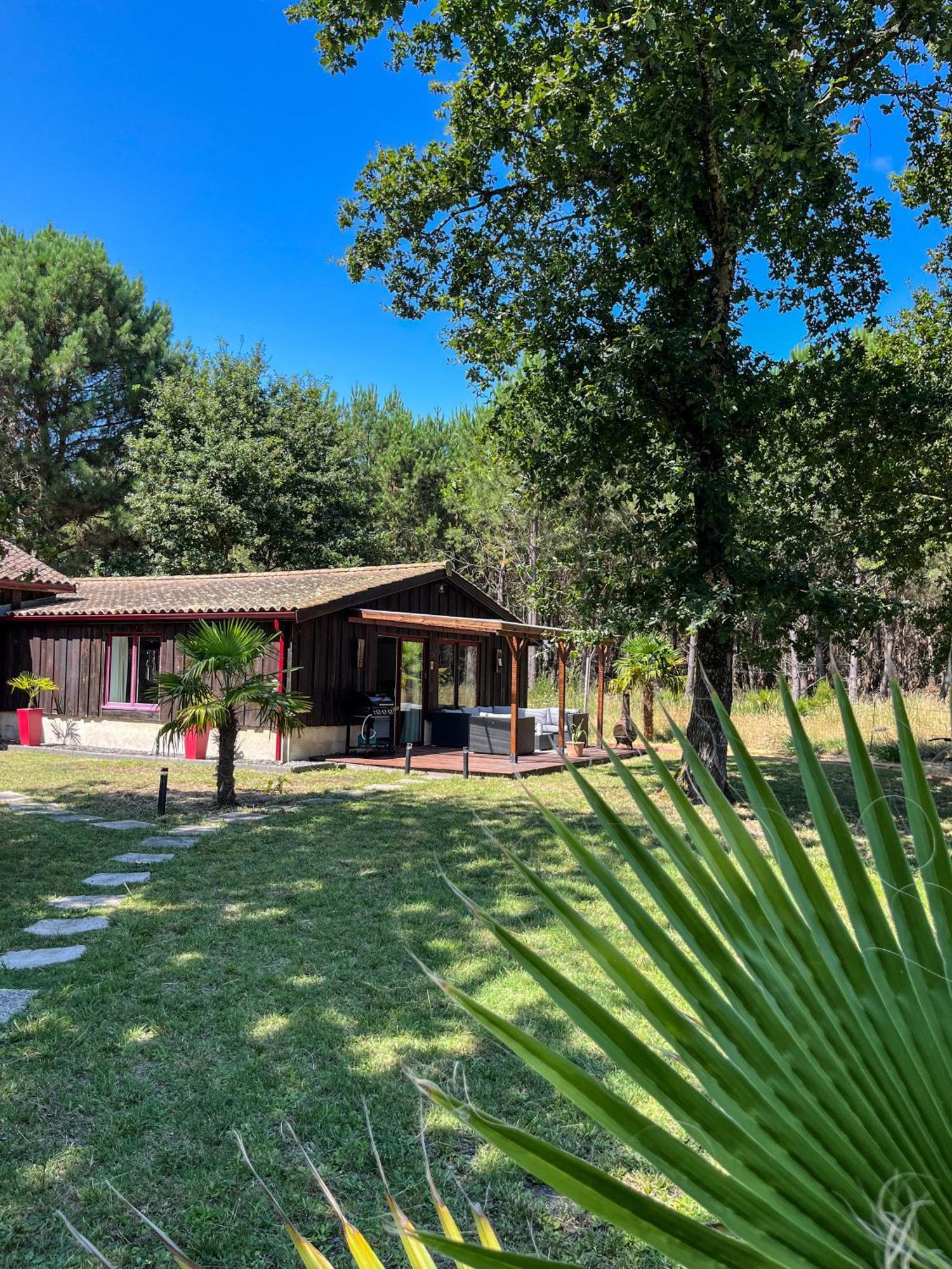 House De La Canopee, Swimming Pool, Lake, Forest, Large Garden And Wifi Hourtin Kültér fotó
